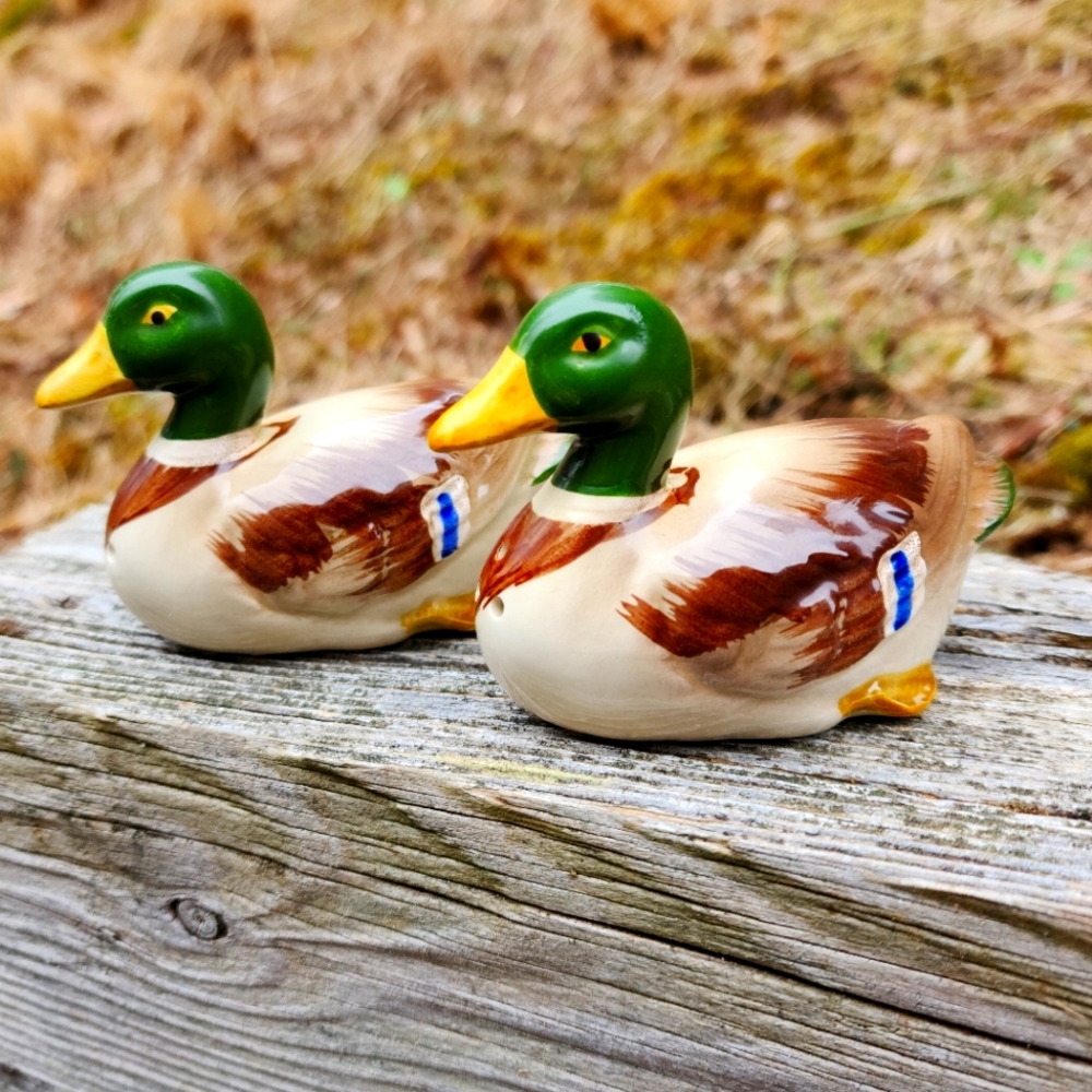 Duck salt & pepper shakers